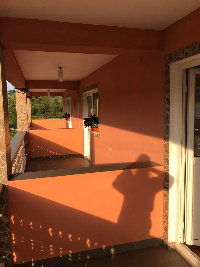 Pensiunea Colt De Rai Săcel Eksteriør billede